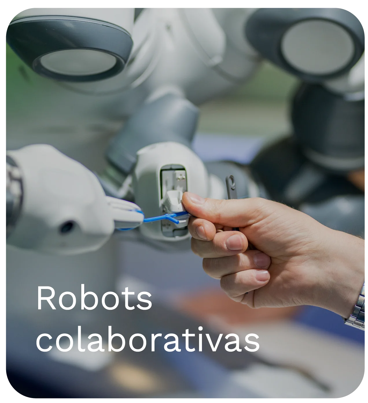 Robot colaborativo