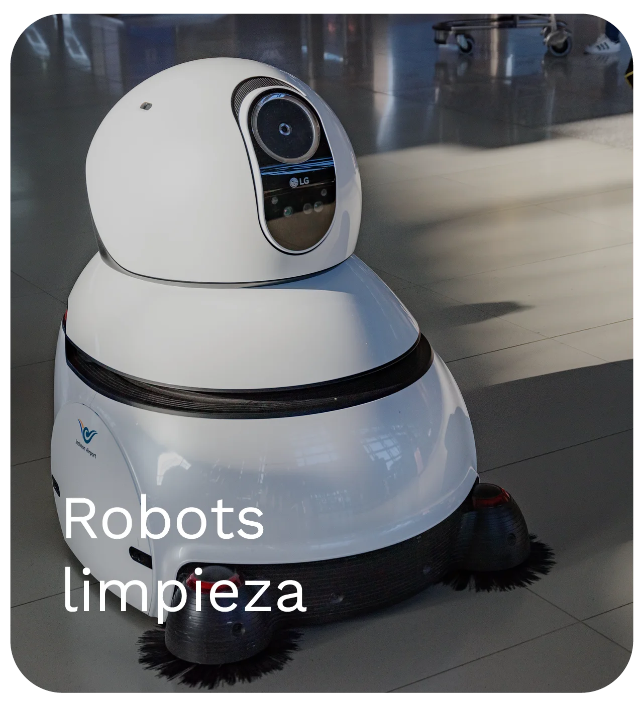 Robot de limpieza automático