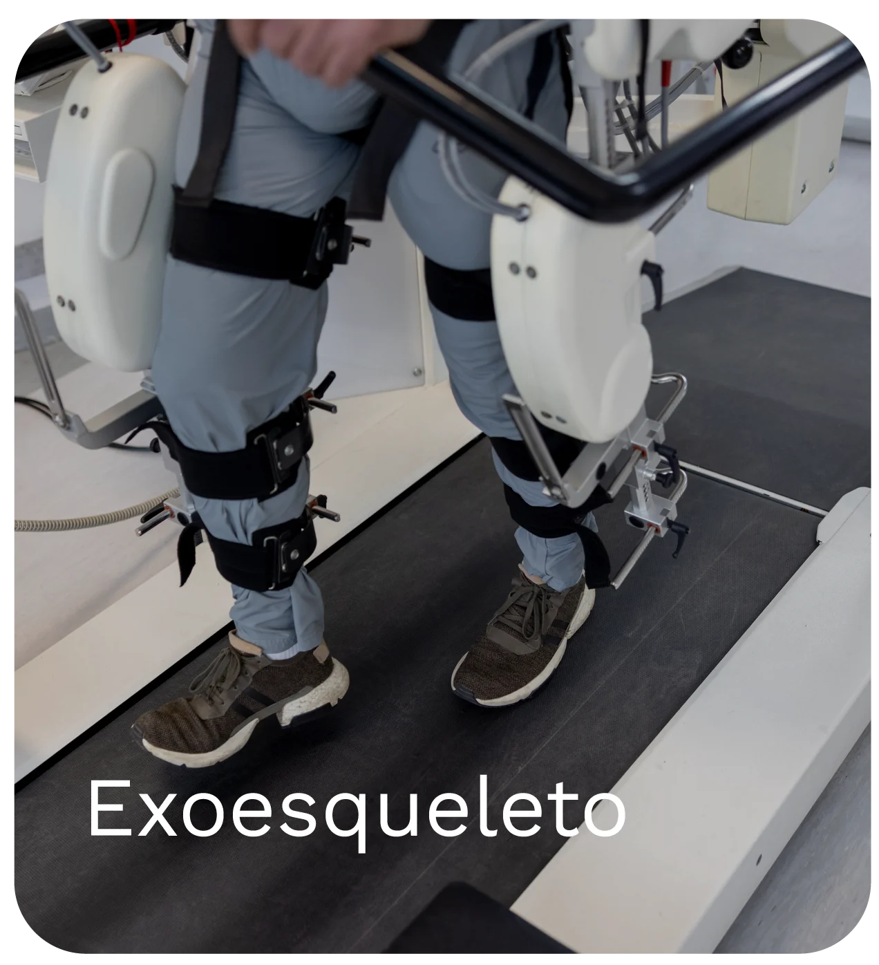 Exoesqueleto