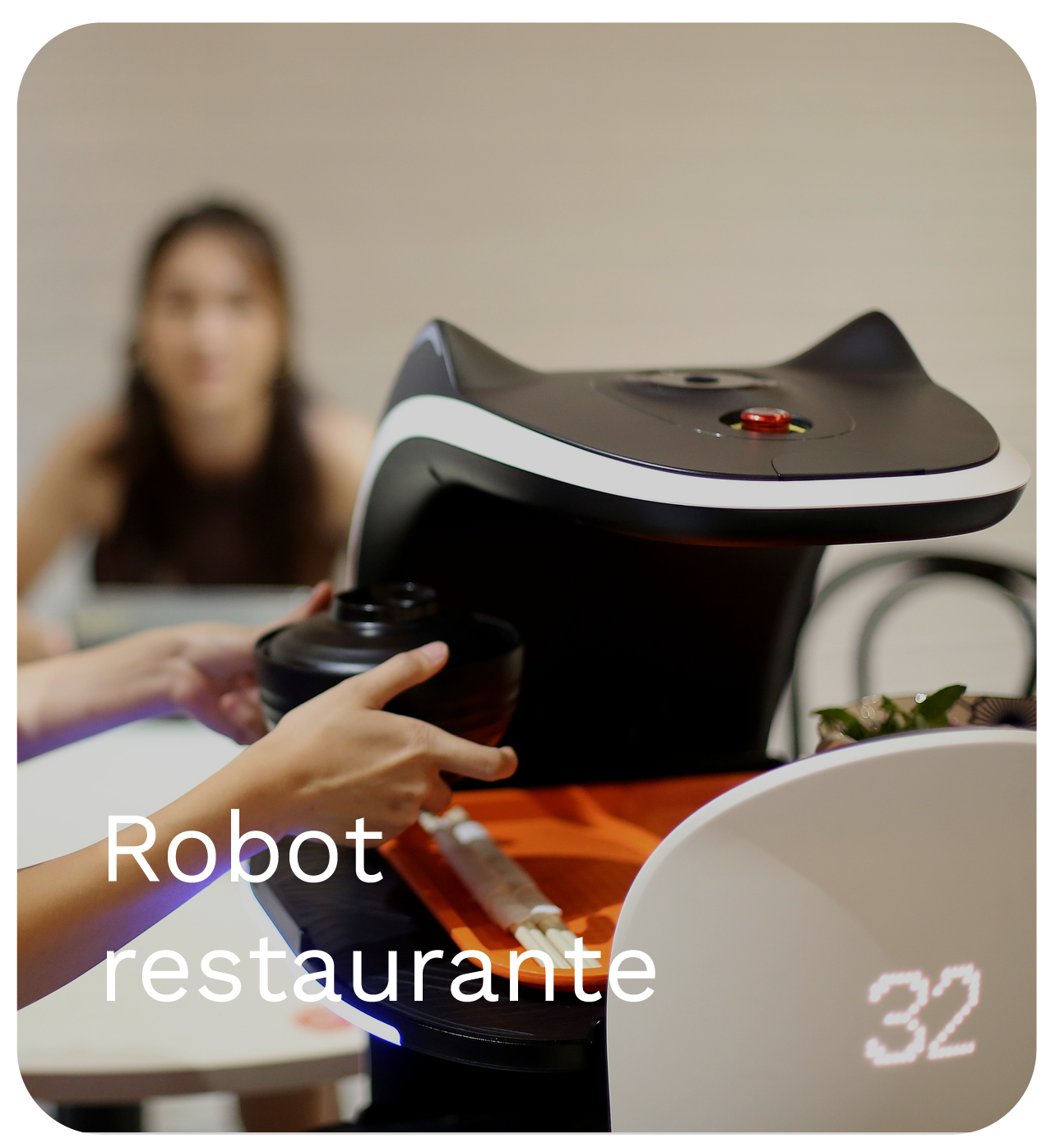 Robot restaurante